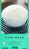 十月稻田 绿色食品 五常大米 10斤（东北大米 香米 5kg/公斤） 实拍图