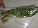 有机芹菜（香芹）250g 实拍图