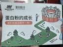 WILD FIELD HEALTH荒野健康乳清蛋白粉高蛋白塑形健身运动增肌 2磅巧克力味便携袋装 实拍图