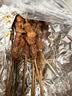 闪魔适用iPad Pro钢化膜13英寸25/24款全新苹果M5芯片平板电脑贴膜全屏防摔抗指纹高清保护膜 实拍图