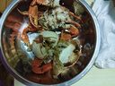 鲜活青蟹(肉蟹)150-200g/只 实拍图