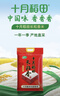 十月稻田 长粒香大米 10斤（东北大米 香米 5kg/公斤） 实拍图