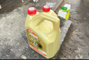 嘉实多（Castrol）极护智E版双次小保养卡 5W-30 SP 4L 含机油+机滤+工时 汽车保养 实拍图