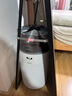 戴森（DYSON）HJ10空气净化器除甲醛过滤PM2.5母婴级净化去除宠物异味去猫皮屑 过滤猫杯状病毒 母婴宠物家庭 实拍图