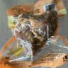 天福号酱香猪肝200g 实拍图