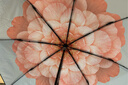 蕉下（beneunder）防紫外线遮阳伞三折双层黑胶晴雨伞防晒伞BM011花椿 实拍图