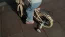 凤凰（Phoenix）儿童自行车3-4-6-10岁宝宝脚踏车男孩女孩童车折叠单车 仰望樱花粉+辐条轮-带后座款 14寸（建议身高100-120cm） 实拍图