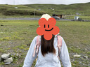 骆驼（CAMEL）CamelTex户外御寒冲锋衣男女同款防油污外套三合一登山服  M 实拍图