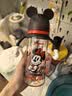 贝亲（Pigeon）PPSU双把手迪士尼赛车奶瓶330ml L号奶嘴 冲线米妮 6月+ AA288 实拍图