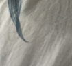 百丽丝水星家纺出品枕头套单件 全棉枕套枕巾纯棉枕头罩枕套一对48x74cm 实拍图
