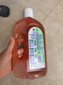 滴露（Dettol）消毒液洗衣衣物消毒水750mL 除螨杀菌混洗无忧 家居地板消毒 非84 实拍图
