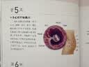 怀孕一天一页+孕期控糖饮食（套装共2册） 实拍图