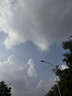 泰明扬新疆三文鱼中段原切 去皮去骨刺国产虹鳟 整块切片非即食冷冻冰鲜 去皮中段整块 1200g 【400g*3盒】 冷冻【可以存放】 实拍图
