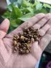 茗杰 武夷红茶金骏眉茶叶礼盒装特级300g 高档茶礼送长辈领导 实拍图