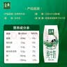 伊利【新鲜日期】金典纯牛奶早餐奶250ml*16盒3.6g乳蛋白 礼盒装 5月 实拍图