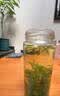 玉滋堂特级茉莉花茶花苞茶叶新花干花蕾花草茶养生茶3罐装 实拍图
