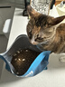 鲜朗冻干猫零食猫咪幼猫成猫营养鸡肉粒鸡胸肉非猫粮冻干零食 鸡肉冻干1包【单包装 共60g】 实拍图