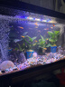 森森鱼缸增氧泵水族箱氧气泵家用小型充氧泵LQE-400 5W双孔+全套配件 实拍图