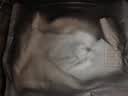 都市丽人孕妇内裤女士纯棉抗菌内裆高腰托腹怀孕早中晚期专用大码短裤 实拍图