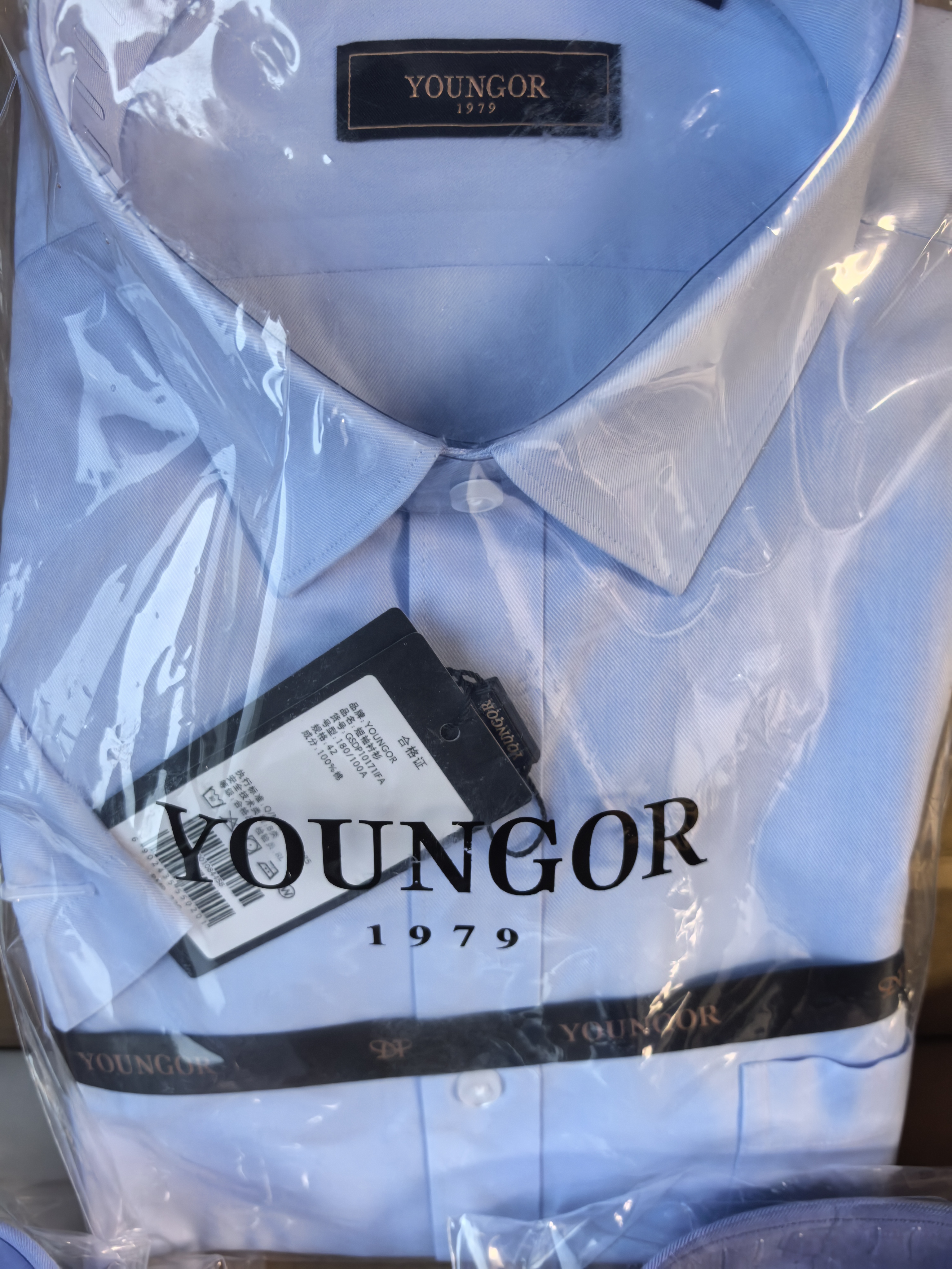 雅戈尔（YOUNGOR）短袖衬衫男素色DP免烫衬衫纯棉面料抗皱易打理新品 GSDP10171IFA浅蓝色 42 实拍图