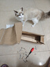 喵仙儿猫抓板猫窝剑麻不掉屑猫躺椅实木猫床耐抓猫沙发四季通用猫爬架 实拍图
