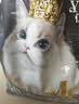 亿迪猫粮冻干幼猫成猫10斤全价英短蓝猫布偶老年猫国产通用全阶段5kg 实拍图