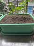 漫生活16L营养土赠4肥种菜养花土壤通用花卉种植有机土植物泥炭土盆栽土 实拍图