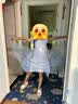 迪士尼艾爱莎公主裙子女童2026新款儿童夏季演出服新中式旗袍汉服连衣裙 实拍图