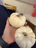 京鲜生奶油贝贝南瓜净重4.5斤单果250g新鲜蔬菜源头直发 实拍图