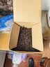 金镶玉原矿紫砂普洱茶罐茶具密封储藏罐茶具配件 大号圆润茶叶罐 实拍图