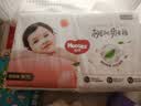 好奇（Huggies）铂金装小桃裤纸尿裤M92片(6-11kg)中号尿不湿【夏季散热王】 实拍图