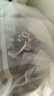半山农甘麦大枣汤450g(30包) 甘草大枣大麦茶红枣 三伏茶夏季泡水养生茶 实拍图