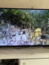 TCL雷鸟电视 55雀4 55英寸 144Hz高刷 2+32GB 护眼模式 自定义遥控器 55F270C-JN 55英寸 平板电视 实拍图