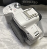 佳能（Canon）【官方旗舰】R50微单相机拍照摄影照相机4K高清视频入门级半画幅r50白色18-45mm套机 实拍图