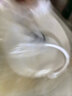 小熊（Bear）养生壶 煮茶壶 恒温水壶 保温烧水一体智能花茶壶烧水壶 1.5L YSH-J15Z7 实拍图