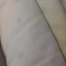 蕉内银皮510S女士三角内裤60支长绒棉夏季透气10A抗菌高腰礼盒3件装 实拍图