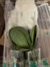 年宵花春节蝴蝶兰盆栽花苗桌面装饰花卉植物四季好养绿植过年货 粉色系蝴蝶兰-裸苗（带花苞+半开放） 实拍图