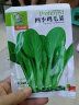 花翁 鸡毛菜种子18天可采摘四季小白菜上海青菜种籽油菜阳台盆栽蔬莱孑 实拍图