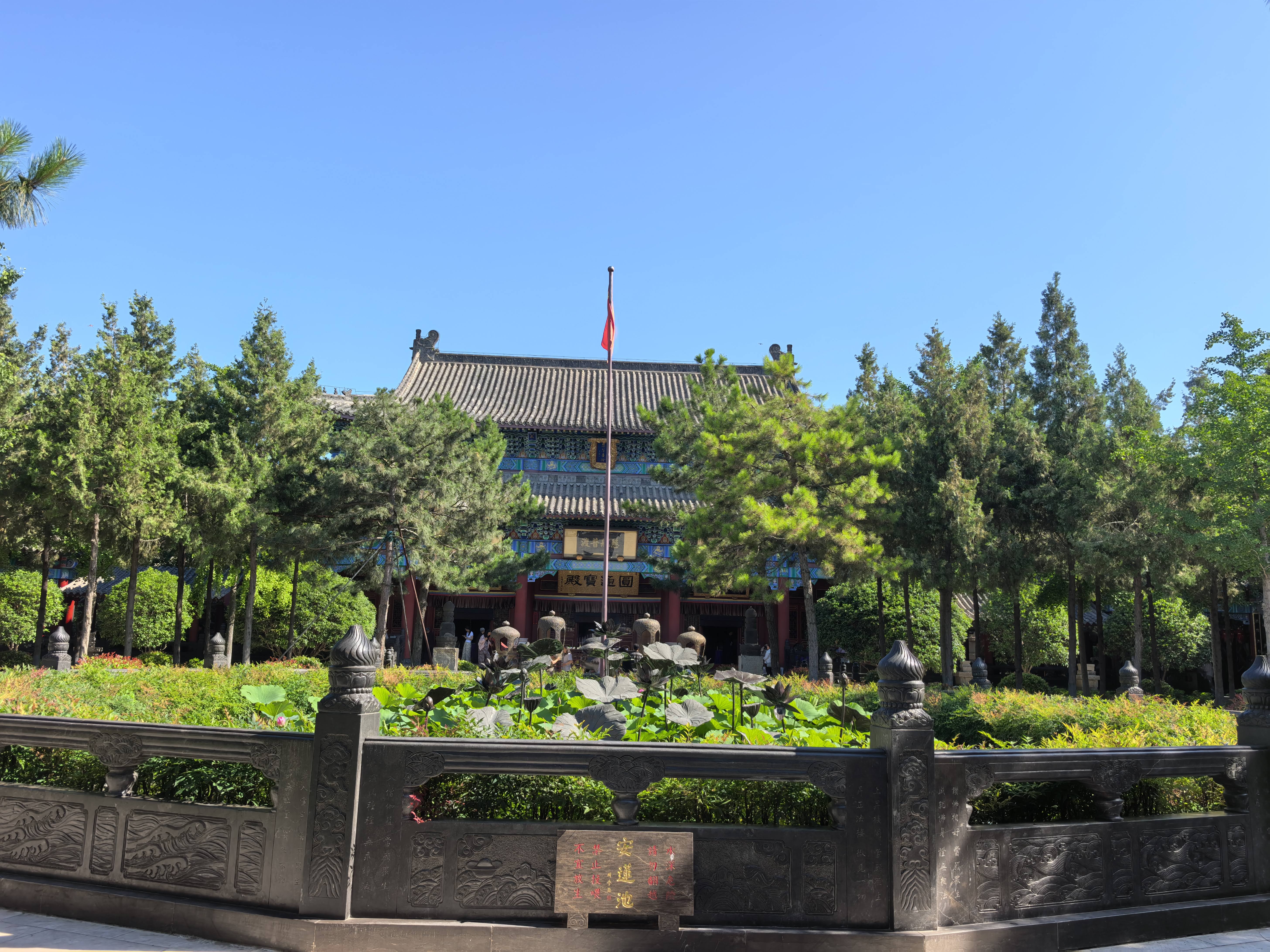 鱼跃（yuwell）助行器老人骨折专用辅助行走器可折叠升降辅助起身YU760 实拍图