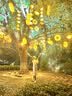 Creative art梳子女士开结梳顺发不打结湿发tt梳不扯头发静电软齿梳送女友老婆 实拍图