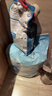 伯纳天纯小型成犬粮泰迪比熊博美天然粮樱桃味狗粮10kg/20斤 实拍图