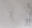 全棉时代产妇孕妇内裤针织低腰纯棉孕期产后三角裤2条 青麦绿+奶白色 L 实拍图
