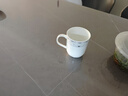 极白2026年新茶上市 安吉白茶茶叶 雨前特级四钻绿茶春茶100克 实拍图