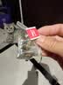 花小泡桑叶双瓜茶苦瓜茶降血i糖茶糖尿病人食品桑叶茶中老年人血糖高茶 6g*60袋 桑叶双瓜茶 实拍图