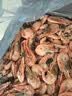 禧美海产黑头北极甜虾10斤 90-120+规格 源头直发海藻头 原箱 水产海鲜 实拍图