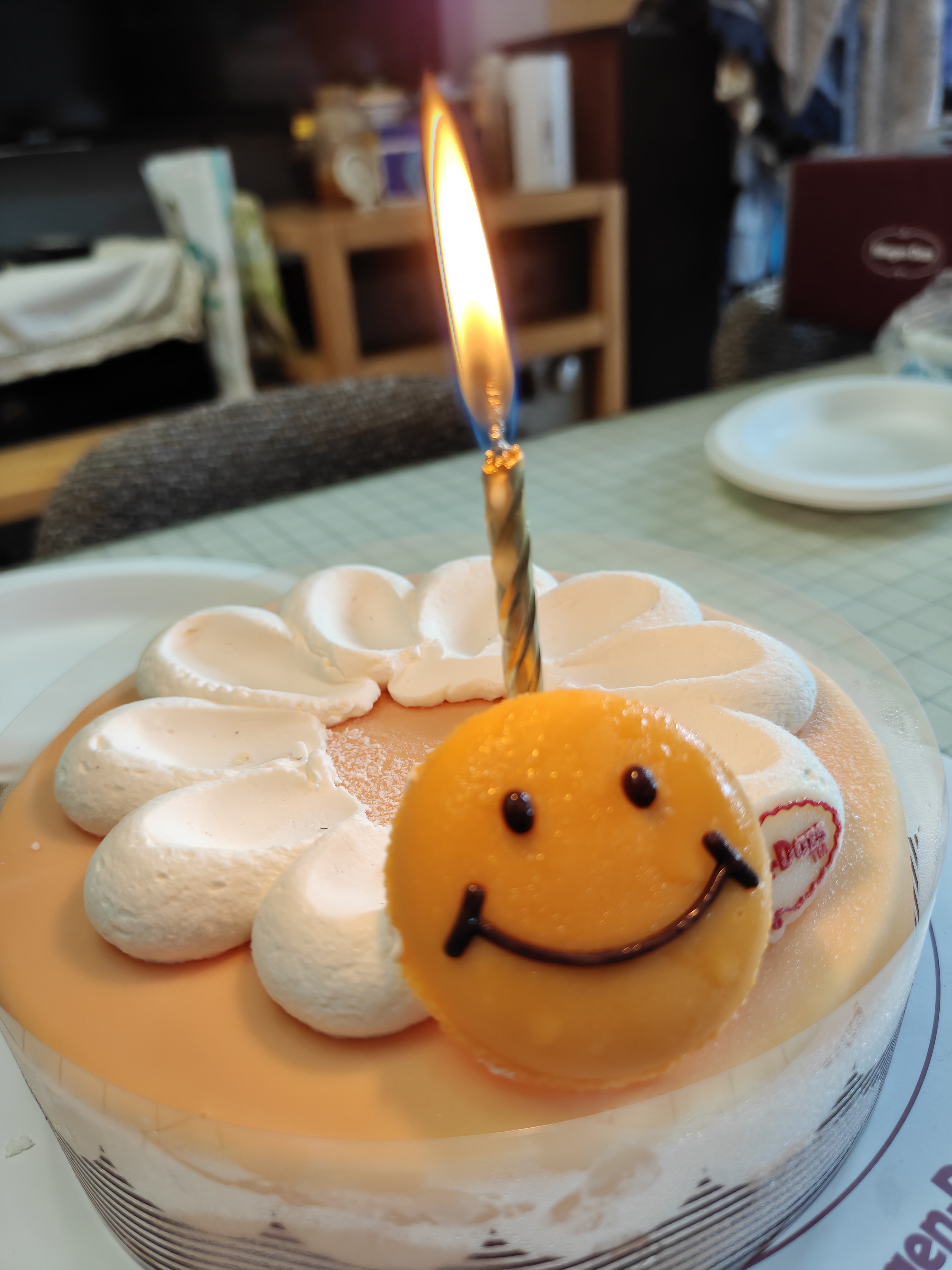 哈根达斯童心永绽蛋糕冰淇淋 520g/6寸 生日蛋糕  配送上门 实拍图