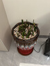 德沃多 碳球陶粒5L(15-30mm) 花盆垫底拌土回填保水透气无土栽培基质 实拍图
