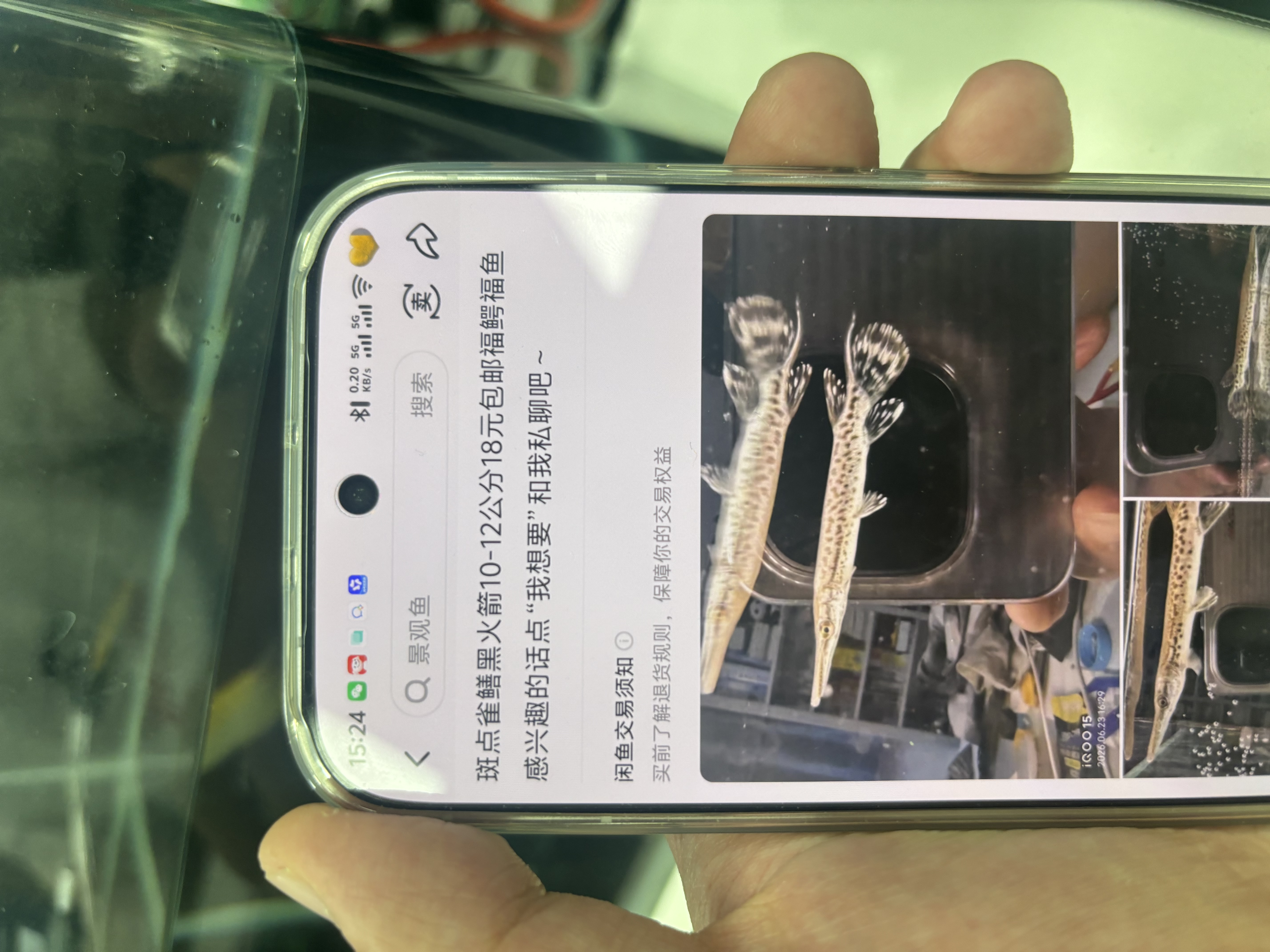 361°羽毛球拍对拍套装升级款深凹槽超轻耐打训练比赛双拍 实拍图