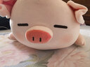 名创优品（MINISO）小猪B-BO翅膀款趴毛绒公仔玩具玩偶抱枕娃娃靠枕生日礼物女 实拍图