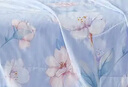 博洋（BEYOND）家纺100%棉空调被 夏凉被约2.1-3.5斤 花色 全棉夏凉被—栀悦 220*240cm 实拍图